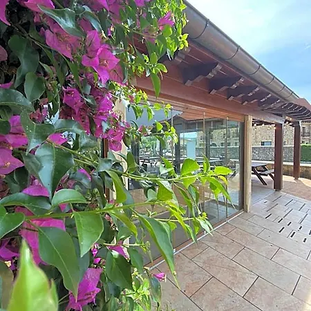 Vijanera Rubayo