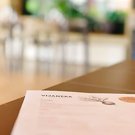 Vijanera 3*