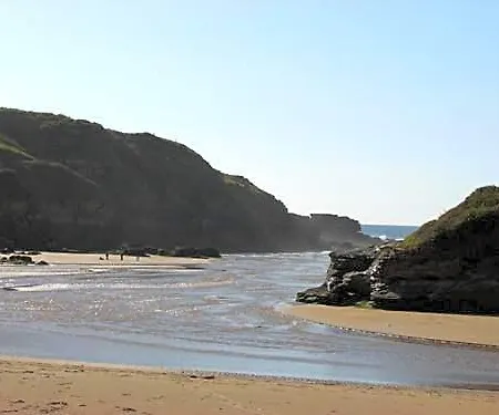 Vijanera